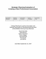 Research paper thumbnail of Taskforce Report: Strategic Planning Evaluation of Creating a New Professional Association