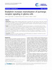 Research paper thumbnail of Bradykinin increases resensitization of purinergic receptor signaling in glioma cells