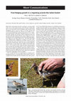 Research paper thumbnail of Post-fledging growth in a migrating juvenile Bar-tailed Godwit