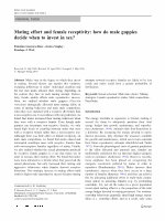 Research paper thumbnail of Mating effort and female receptivity: how do male guppies decide when to invest in sex?