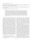 Research paper thumbnail of Spatial distribution of detrital resources determines the outcome of competition between bacteria and a facultative detritivorous worm