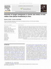 Research paper thumbnail of Diversity of fungal endophytes in leaves and stems of wild rubber trees (< i> Hevea brasiliensis</i>) in Peru