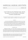 Research paper thumbnail of Leech collections from Washington State, with the description of two new species of Placobdella (Annelida, Glossiphoniidae)