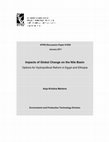 Research paper thumbnail of Impacts of global change on the Nile basin: Options for hydropolitical reform in Egypt and Ethiopia