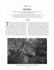 Research paper thumbnail of Grunas (Chapter 10 of "Light and Shadow: Isolation and Interaction in the Shala Valley of Northern Albania)