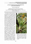 Research paper thumbnail of ¿Cuáles estrategias de vida presentan las plantas epífitas?