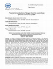 Research paper thumbnail of Potential of production of biogas from the castor bean (Ricinus communis L.) cake