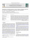 Research paper thumbnail of Morphology of Luolishania longicruris (Lower Cambrian, Chengjiang Lagerstätte, SW China) and the phylogenetic relationships within lobopodians