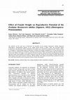 Research paper thumbnail of Effect of female weight on reproductive potential of the predator Brontocoris tabidus (Signoret, 1852) (Heteroptera: Pentatomidae