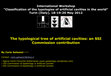 Research paper thumbnail of The tipological classification of artificial cavities