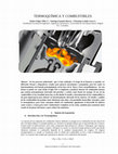 Research paper thumbnail of TERMOQUÍMICA Y COMBUSTIBLES