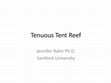 Research paper thumbnail of Tenuous Tent Reef (addressing remediation of coastal fill)