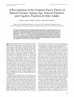 Research paper thumbnail of A Reevaluation of the Common Factor Theory of Shared Variance Among Age, Sensory Function, and Cognitive Function In Older Adults