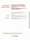 Research paper thumbnail of The Presence of ADP-Ribosylated Fe Protein of Nitrogenase in Rhodobacter capsulatus Is Correlated with Cellular Nitrogen Status