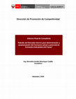 Research paper thumbnail of Dirección de Promoción de Competitividad