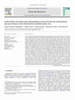 Research paper thumbnail of Carbon fluxes through major phytoplankton groups during the spring bloom and post-bloom in the Northwestern Mediterranean Sea