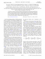 Research paper thumbnail of Dynamics of prestressed semiflexible polymer chains as a model of cell rheology