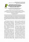 Research paper thumbnail of Importancia ecológica de las Palmas (Arecaceae) en un gradiente ambiental a lo largo del estado de Quintana Roo, México