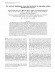 Research paper thumbnail of The csnD/csnE Signalosome Genes Are Involved in the Aspergillus nidulans DNA Damage Response