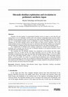 Research paper thumbnail of Shirataki obsidian exploitation and circulation in prehistoric nothern Japan