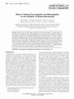 Research paper thumbnail of Effect of Heating Oxymyoglobin and Metmyoglobin on the Oxidation of Muscle Microsomes