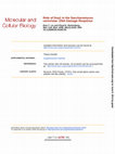 Research paper thumbnail of Role of Doa1 in the Saccharomyces cerevisiae DNA Damage Response