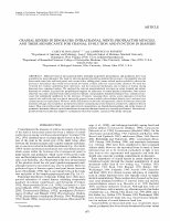 Research paper thumbnail of Cranial kinesis in dinosaurs: intracranial joints, protractor muscles, and their significance for cranial evolution and function in diapsids