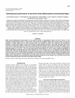 Research paper thumbnail of Hydrodynamic performance of the minke whale (Balaenoptera acutorostrata) flipper