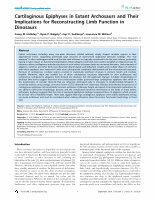 Research paper thumbnail of Cartilaginous epiphyses in extant archosaurs and their implications for reconstructing limb function in dinosaurs