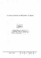 Research paper thumbnail of Le gisement pleistocène de Morgadinho, en Algarve