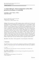 Research paper thumbnail of A virtual field test of forest management carbon offset protocols: the influence of accounting