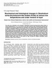 Research paper thumbnail of Biochemical and histological changes in Dendrobium sonia-28 protocorm-like bodies (PLBs) at various low temperatures and under mineral oil layer