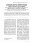 Research paper thumbnail of Paleoparasitologic, paleogenetic and paleobotanic analysis of XVIII century coprolites from the church La Concepción in Santa Cruz de Tenerife, Canary Islands, Spain