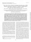 Research paper thumbnail of The Active Form of Human Aryl Hydrocarbon Receptor (AHR) Repressor Lacks Exon 8, and Its Pro185 and Ala185 Variants Repress both AHR and Hypoxia-Inducible Factor