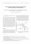 Research paper thumbnail of First record of Ichtyosaurs in Sicily (Upper Triassic of Monte Scalpello, Catania Province)