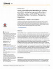 Research paper thumbnail of Using Dental Enamel Wrinkling to Define Sauropod Tooth Morphotypes from the Cañadón Asfalto Formation, Patagonia, Argentina