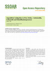 Research paper thumbnail of Grätz, Tilo 2006. 	Jugendliche Goldgräber in West Afrika: Arbeitsethik, Lebensstile und Identitätsprozesse. In: Rehberg, K.-S.; Giesecke, D. (eds.) Sammelband		Soziale Ungleichheit, kulturelle Unterschiede. Frankfurt/M: Campus, 1649-1666