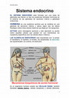 Research paper thumbnail of Sistema endocrin1