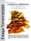 Research paper thumbnail of Laetiporus sulphureus. Basidiomycota: Coriolaceae