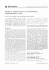 Research paper thumbnail of Zhu, X., Zamora, S. & Lefebvre, B. 2014. Morphology and palaeoecology of a new edrioblastoid (Edrioasteroidea) from the Furongian of China. Acta Palaeontologica Polonica 59 (4): 921-926. 