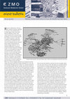 Research paper thumbnail of Grätz, Tilo 2013. Editorial: Research collaboration with partners outside of Europe. ZMO Orient Bulletin 24:1 (June 2013).