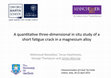 Research paper thumbnail of A quantitative three-dimensional in situ study of a short fatigue crack in a magnesium alloy