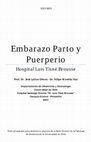 Research paper thumbnail of Embarazo, parto y puerperio. Libro. Edición 2007. U. de Chile.