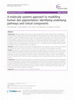 Research paper thumbnail of A molecular systems approach to modelling human skin pigmentation: identifying underlying pathways and critical components