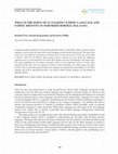 Research paper thumbnail of WHAT IS THE POINT OF US TALKING? ETHNIC LANGUAGE AND  ETHNIC IDENTITY IN NORTHERN BORNEO, MALAYSIA 