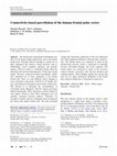 Research paper thumbnail of Connectivity-based parcellation of the human frontal polar cortex