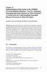 Research paper thumbnail of Epidemiological Interaction at the Wildlife/Livestock/Human Interface: Can We Anticipate Emerging Infectious Diseases in Their Hotspots? A Framework for Understanding Emerging Diseases Processes in Their Hot Spots