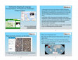 Research paper thumbnail of Multi-media mapping and language documentation: Developments, challenges and opportunities