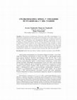 Research paper thumbnail of Mediaeval church in Omoljica: Excavations in 2006, Средњовековна црква у Омољици: истраживања у 2006. години