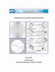 Research paper thumbnail of ESTABILIDAD DE TALUDES EN MACIZOS ROCOSOS